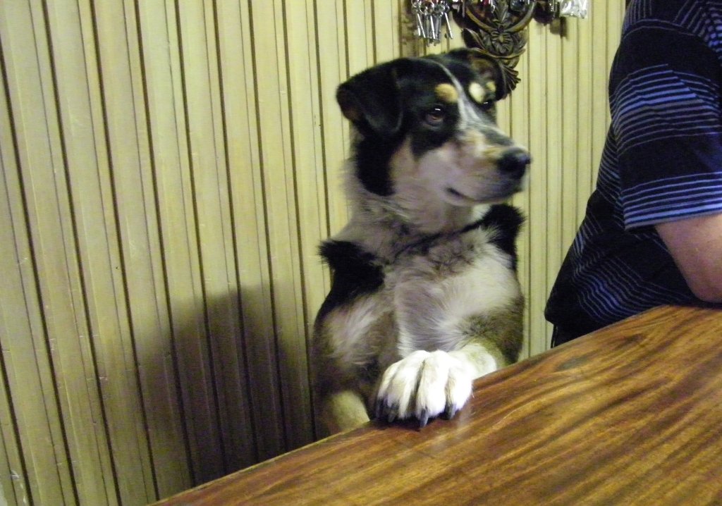 hotel receptionist